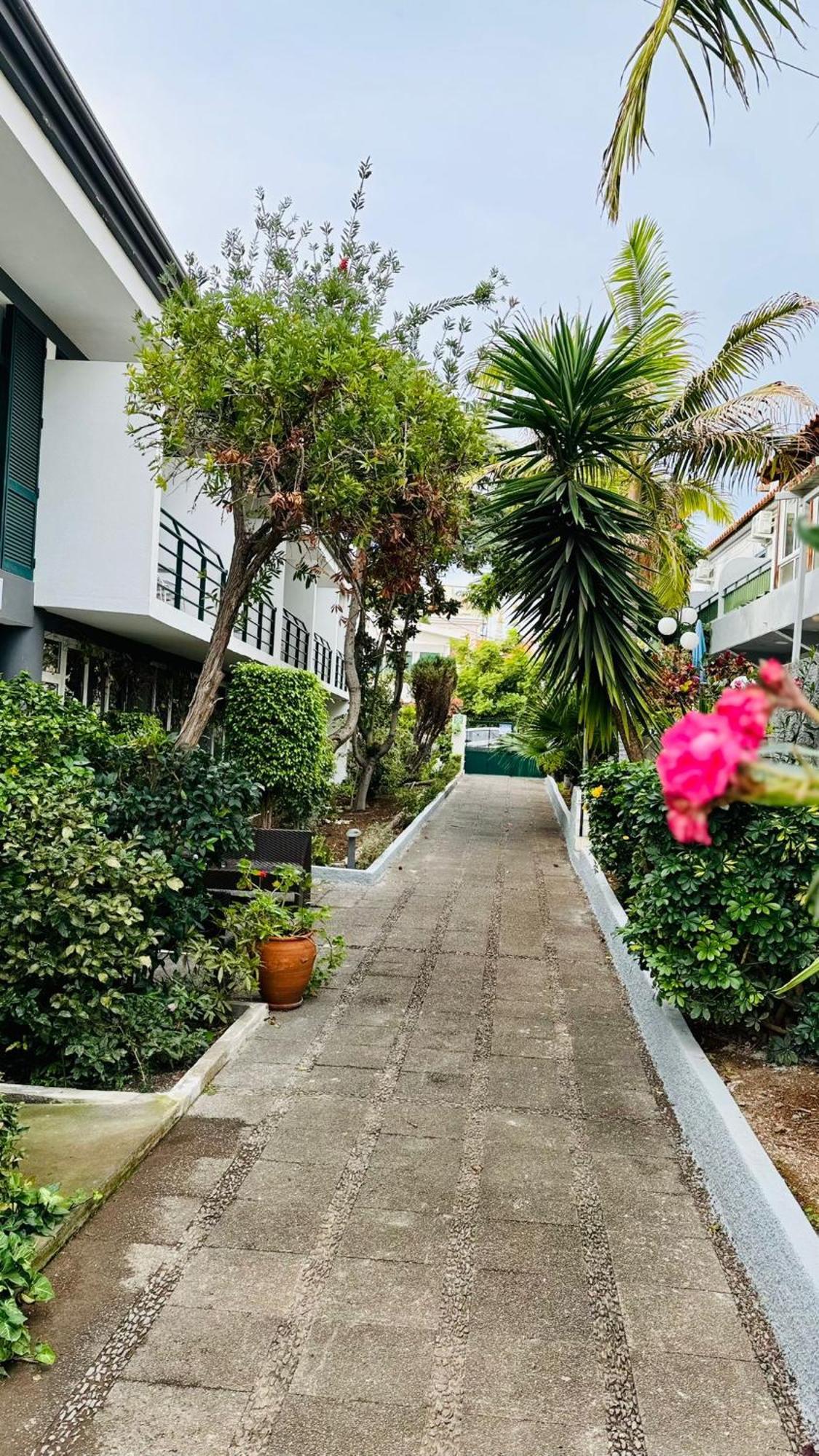 Monte Verde Funchal Dış mekan fotoğraf