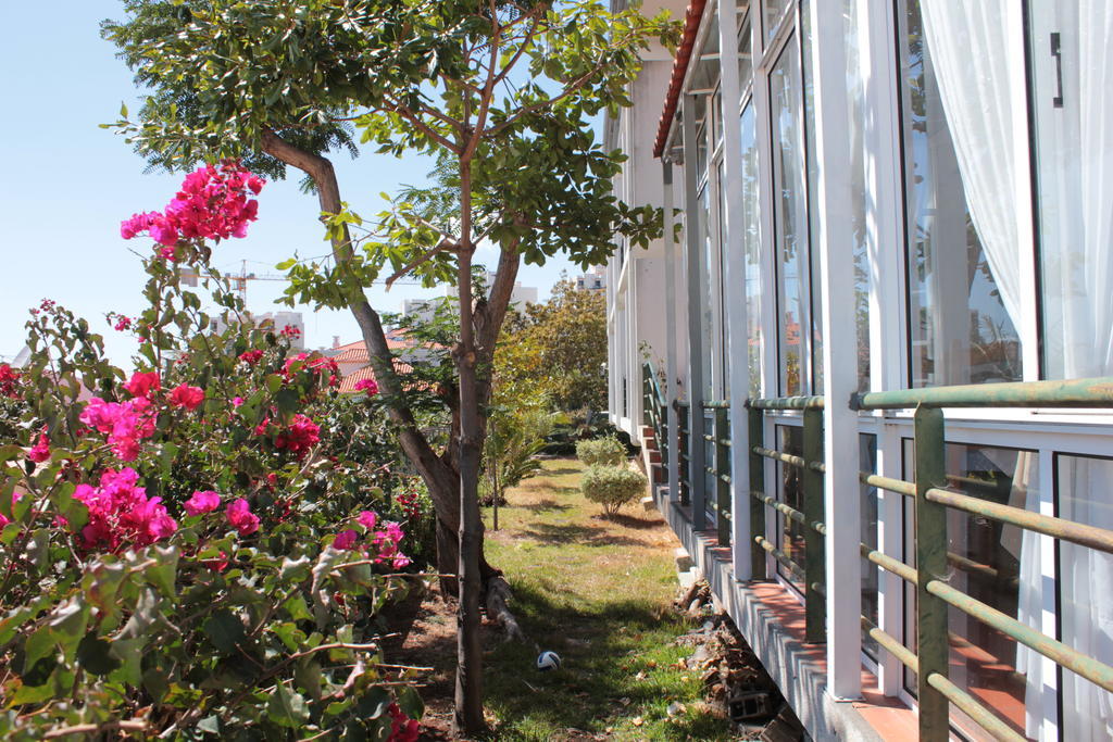 Monte Verde Funchal Dış mekan fotoğraf