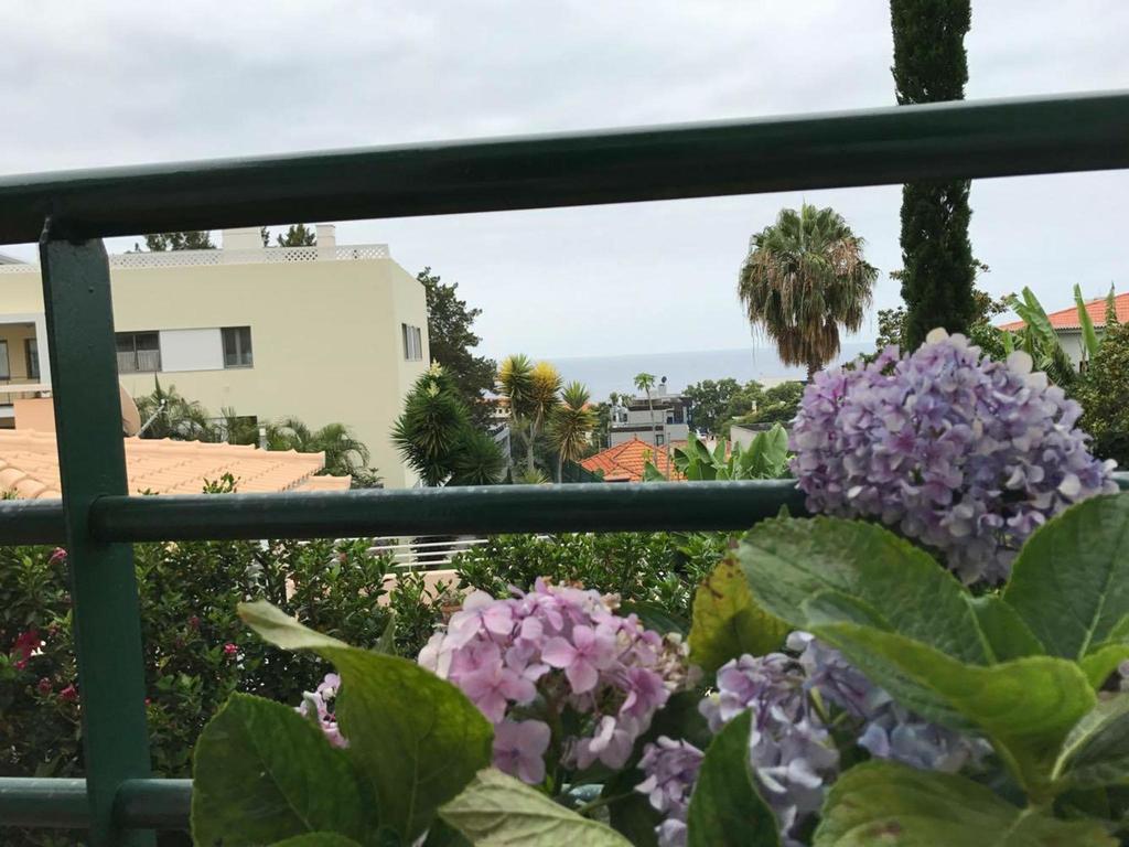 Monte Verde Funchal Dış mekan fotoğraf